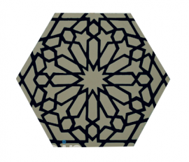 Hexagon tile Her 109