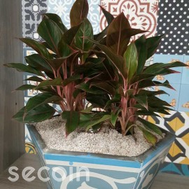 Flowerpot