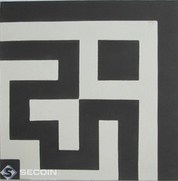 C211 (S8.1, S1.0)