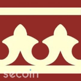 B560