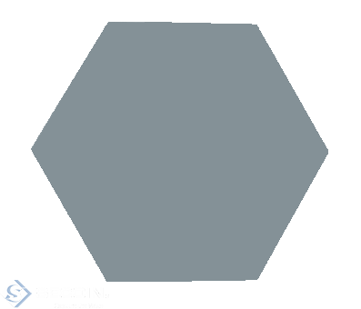 Hexagonal Tile S7005