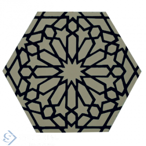 Hexagon tile Her 109