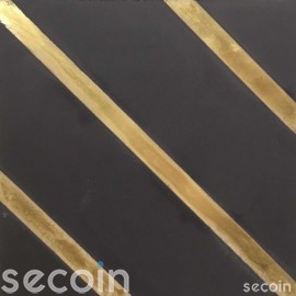 AC818-S8.1
