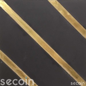 AC818-S8.1