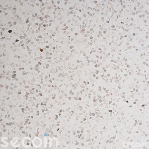 TS1-19M