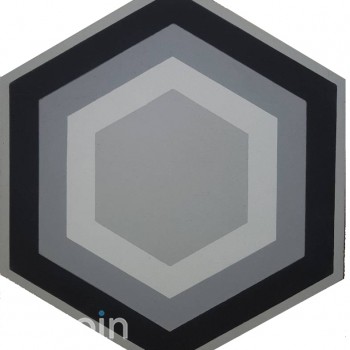 Hexagon tile Her 105
