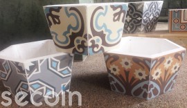 Chậu Bông lục giác 2