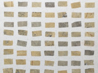 Scarpa Tiles