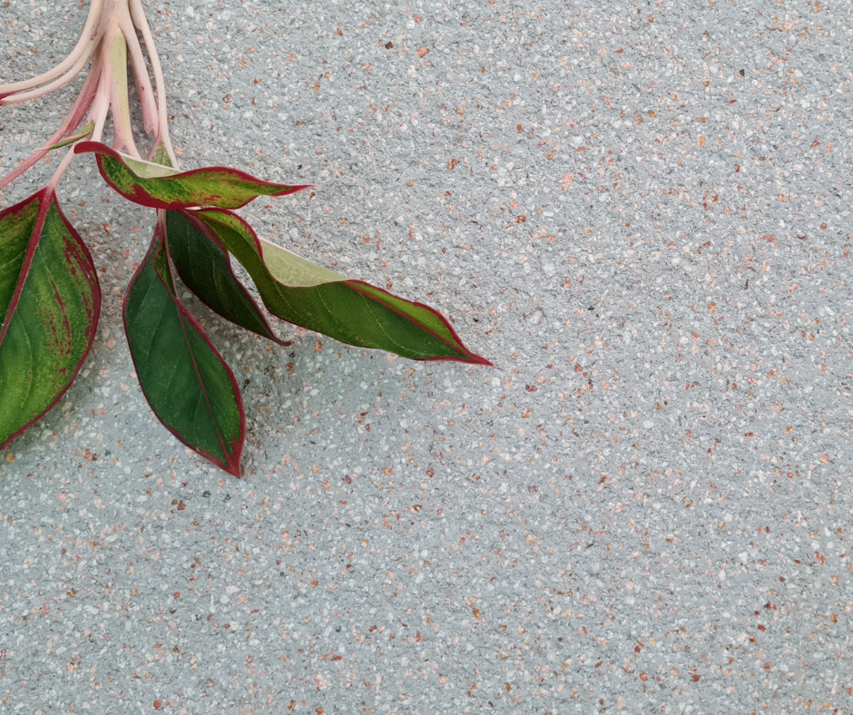 27-Year History of Terrazzo Tiles in Vietnam – The Journey of Growth with Secoin 19 Quang Duong Hon Hai Thap Ky – 2025 va Tuong Lai6